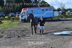 BPP_5686