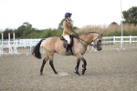 SBM_06985