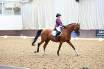 SBM_020478