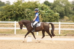 SBM_006404