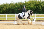 SBM_006978