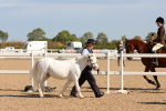 SBM_17661