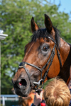 230626-Race 6-Sahm Naif-1900