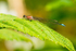 20140621-3K8A2517