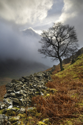 Cumbria portfolio