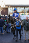 010124-Race 2-Belle Na Bann-3933