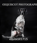 equiscot1715