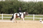 SBM_00435