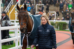 151125-Race 3-Breaking Cover-0838