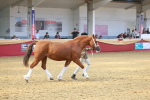 SBM_16699