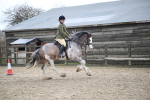 SBM_008096