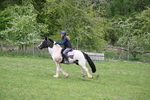 WJ6_3475