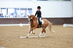 SBM_002187