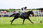 300526-Race 4-Not So Sobers-0617