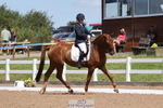 259-Amy.Harris-Stormhill.ultima portfolio