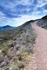 Path to the top Carn an t-Suidhe