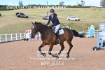 BPP_6313