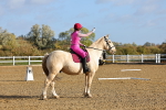 SBM_000392