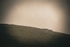 DSCF4204