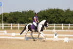 SBM_004339