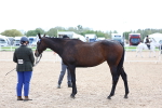 SBM_15287