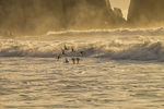 At Ballydowane Cove