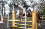 Senior Showjumping_10-11-2019-48