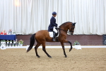 SBM_009685