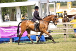 SBM_17987