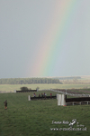 PtP 311223 921
