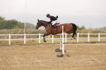 SBM_024197
