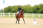 SBM_006538