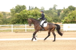 SBM_000801