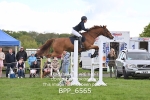 BPP_6565
