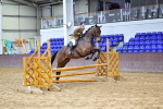 SBM_003553