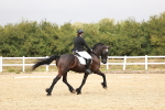 SBM_001890