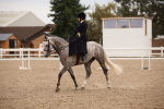 SBM_05487