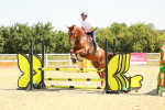 SBM_000564