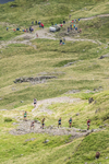 Borrowdale-263
