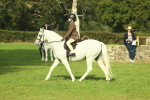 SBM_59881