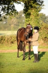 S49 - Riding Horse & Hack & Thoroughbred In Hand portfolio