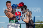 BOUT-5: Thomas Schmiedhuber v Sam 'Bam Bam' Bishop portfolio
