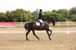 SBM_005340