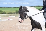 BPP_7280