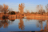 Fall reflections 2011