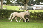 SBM_62755