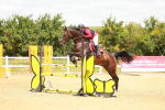 SBM_002438