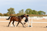 SBM_17889