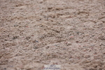 240121A-103346-01104