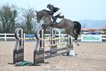 Cls 13 Foxhunter and 1.20m Open portfolio